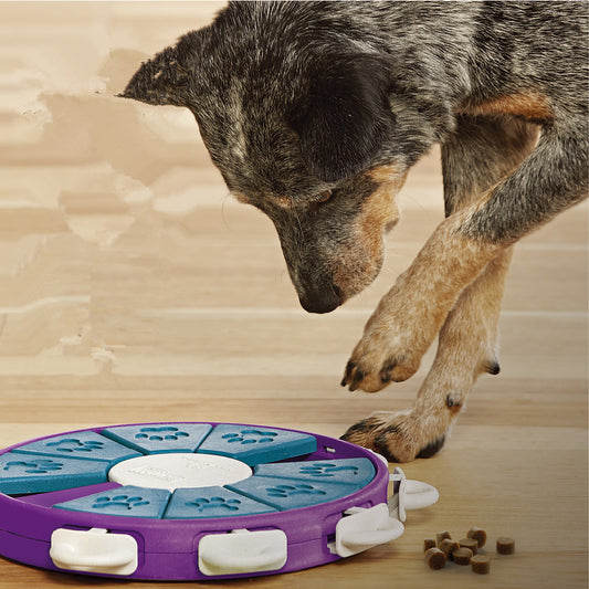 Dog educational toys - ScoutSnouts