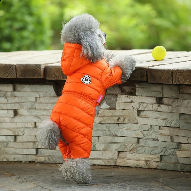 Dog Clothes Winter Clothes Teddy Autumn And Winter Coats Bichon Pomeranian Small Dogs Spring And Autumn Down Coats - ScoutSnouts