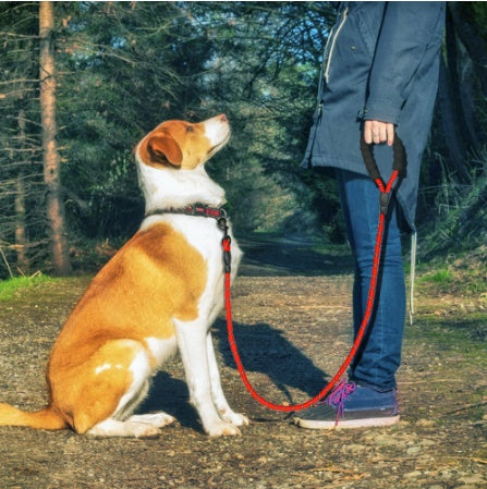 Reflective Dog Leash Nylon Pet Dog Leash Rope For Small Medium Large Dogs Walking Training Pet Suppiles - ScoutSnouts